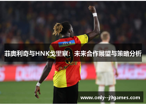 菲奥利奇与HNK戈里察：未来合作展望与策略分析