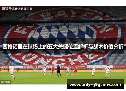 西格诺里在球场上的五大关键位置解析与战术价值分析 西格诺里在球场上的五大关键位置解析与战术价值分析