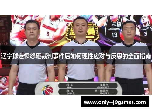 辽宁球迷愤怒砸裁判事件后如何理性应对与反思的全面指南