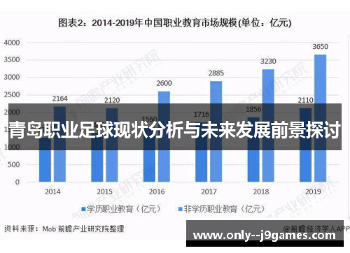 青岛职业足球现状分析与未来发展前景探讨